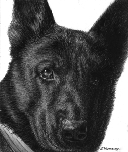 Intensity
