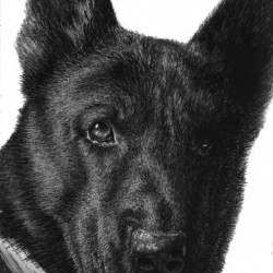 Intensity