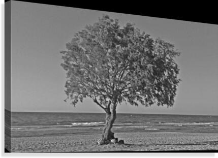 Mediterranean atmosphere Canvas Print
