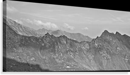 Last resort Canvas Print