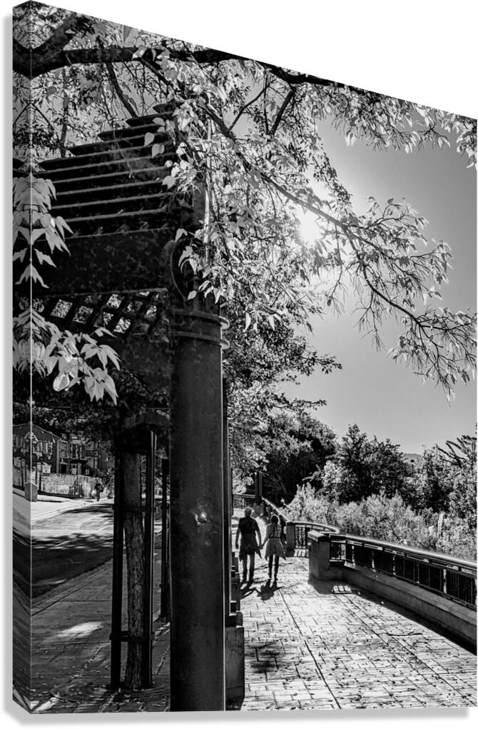 Holding Hands 1 Canvas Print