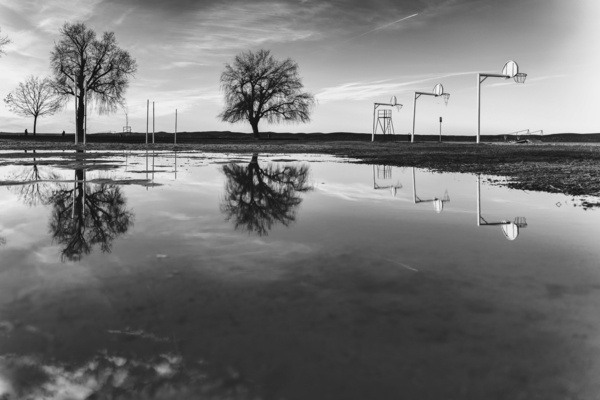 Reflections Print