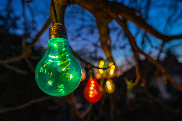 Bulbs at Sunset Print