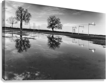 Reflections Canvas Print