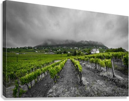 Somlo Canvas Print
