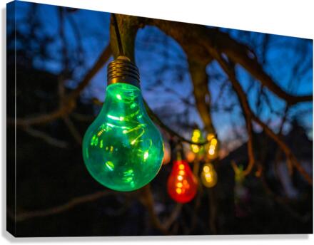 Bulbs at Sunset Canvas Print