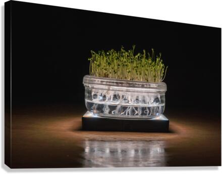 MicroGreen Canvas Print