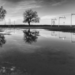 Reflections