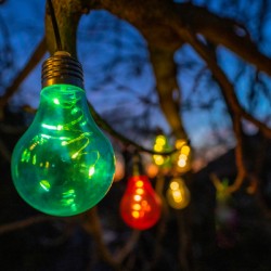 Bulbs at Sunset