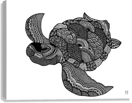 The Turtle Canvas Print