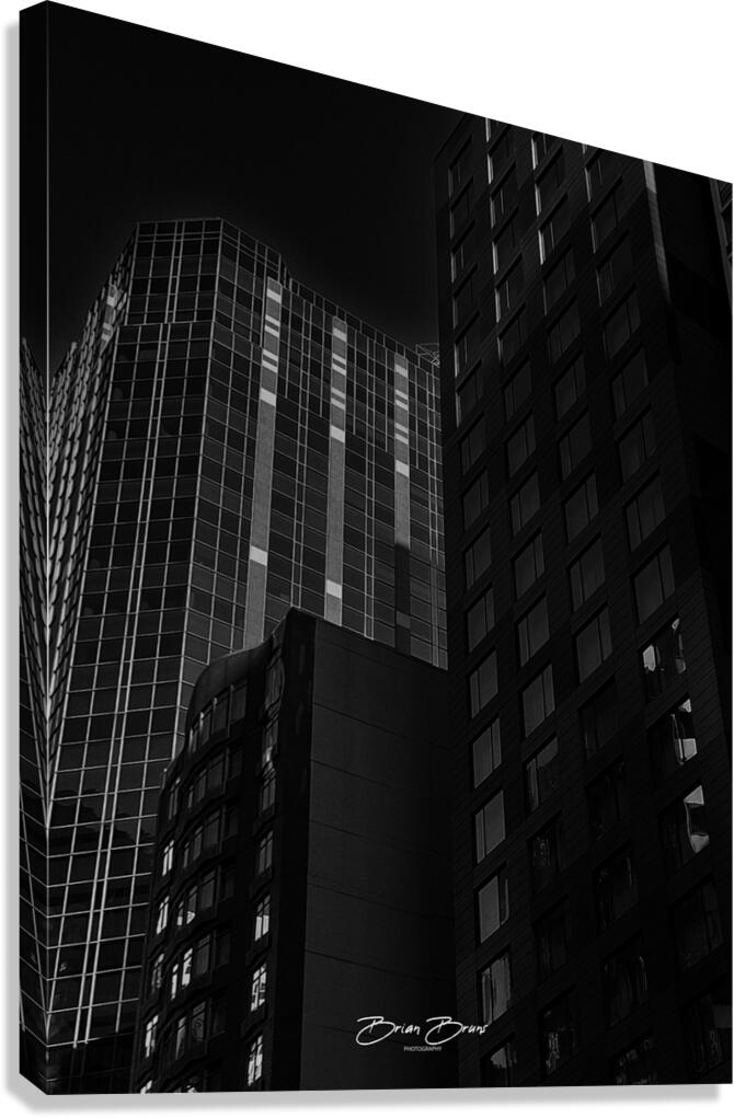 Trio Canvas Print