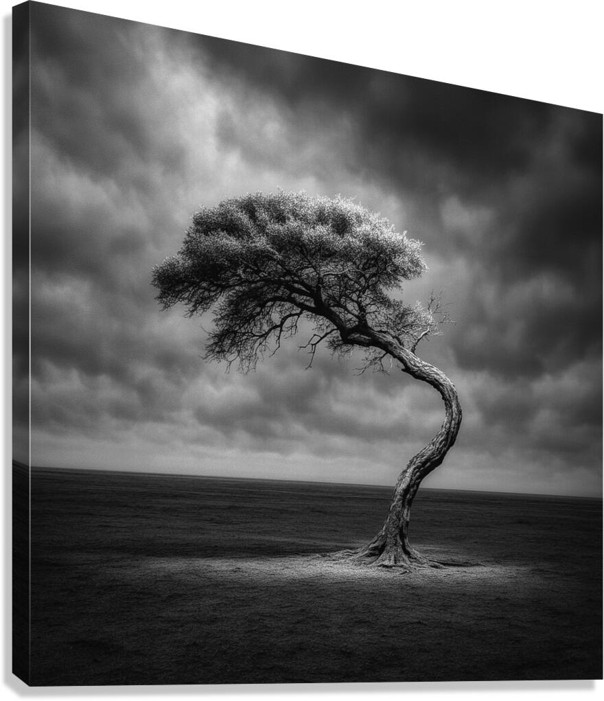 Perseverance Canvas Print