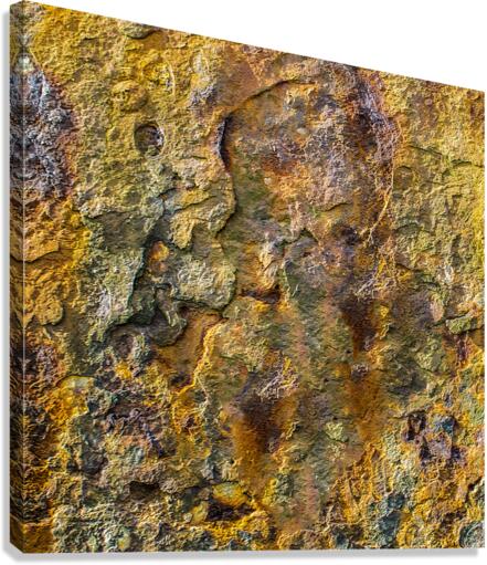 Rusty orange abstract texture  Canvas Print