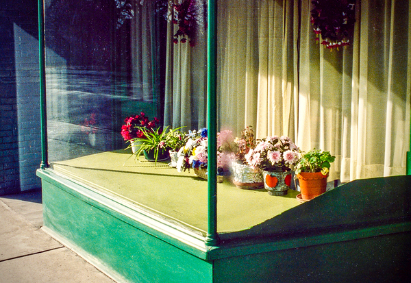 Roncy Window Print