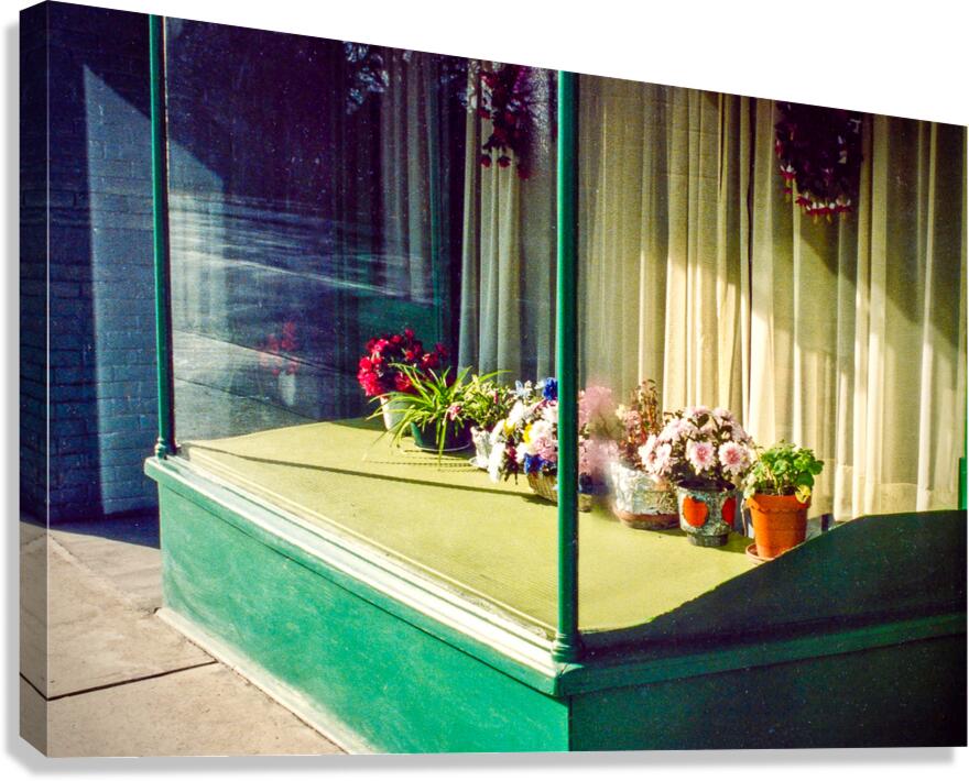 Roncy Window Canvas Print