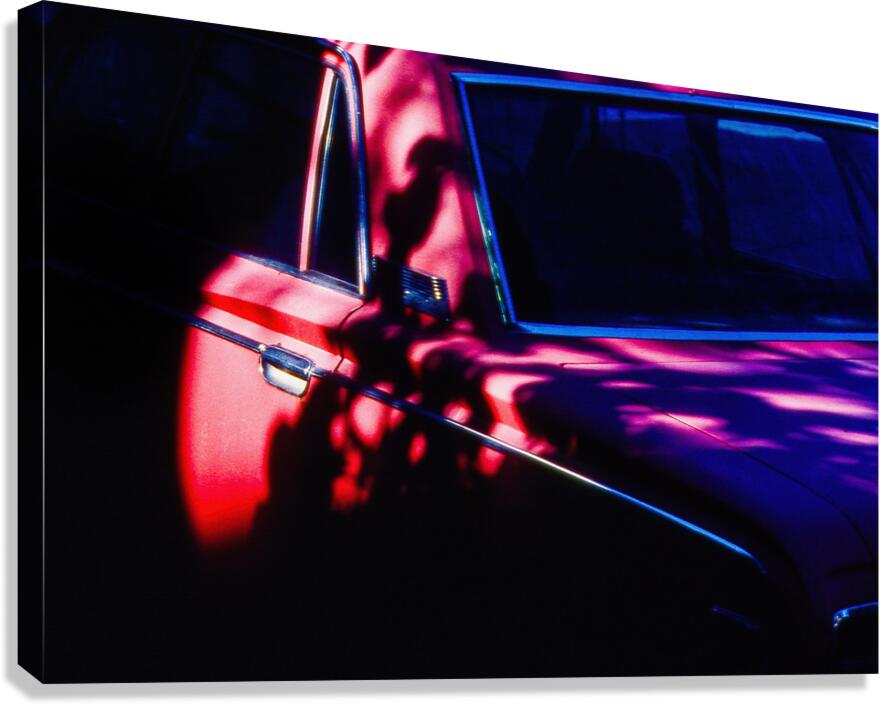 Dappled Coupe Canvas Print