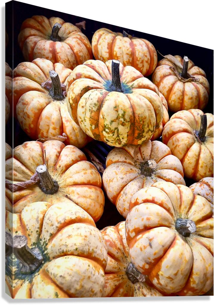 Gourds Canvas Print