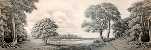  Black & White Trees Drawing