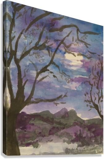 Moonlight Sonata Canvas Print