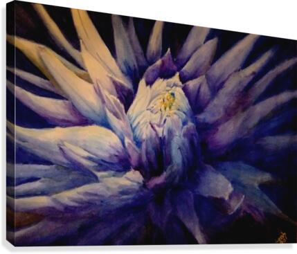 Moonflower  Canvas Print