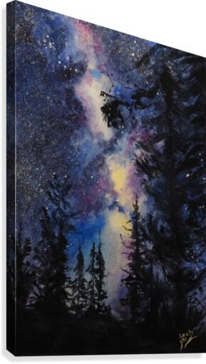 Galaxy Canvas Print