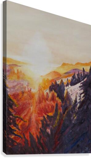 Forest Sunset Canvas Print