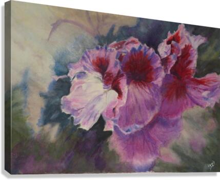 Midnight Geraniums Canvas Print