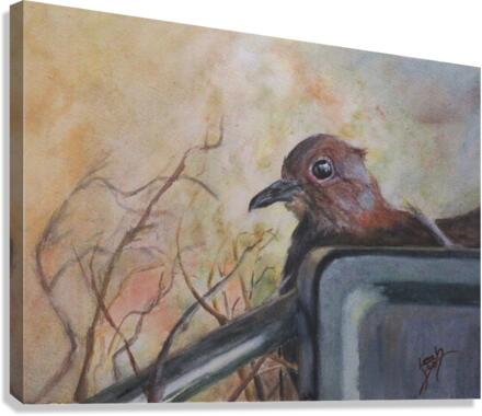 Well Nested Canvas Print