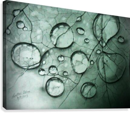 Water Droplets Canvas Print