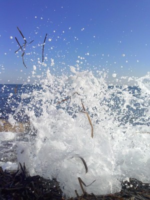 Splash
