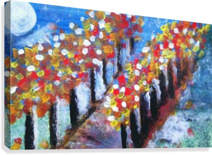 Aquarius Moon Canvas Print