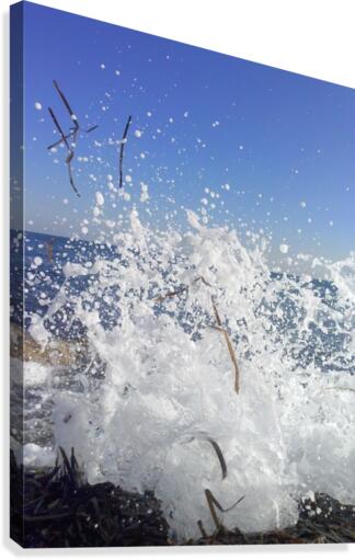 Splash Canvas Print
