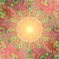 2n