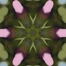 All