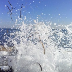 Splash