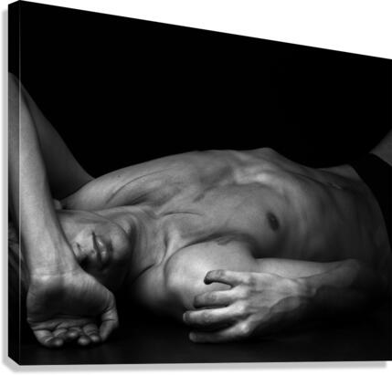 Triptyque1 format 16 x 20 Canvas Print