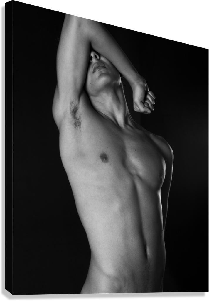 Torso 24x30 Canvas Print