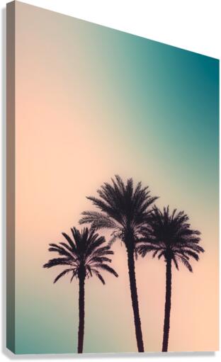 Palmtrees Canvas Print