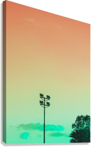 Mood Canvas Print
