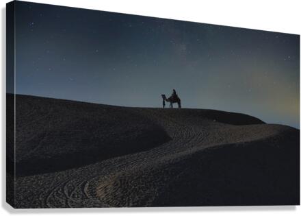Desert ride Canvas Print