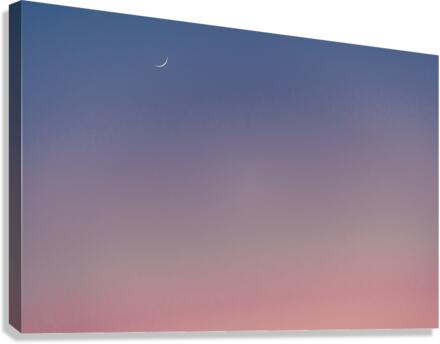 New moon Canvas Print