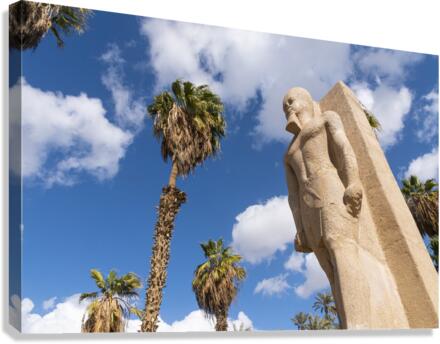 Ramsis the 2nd  Canvas Print