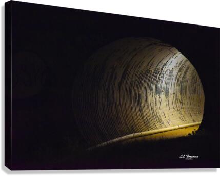 LLF 0546 Canvas Print