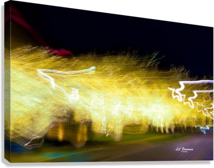 LLF 0594 Canvas Print