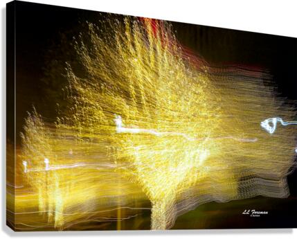 LLF 0593 Canvas Print