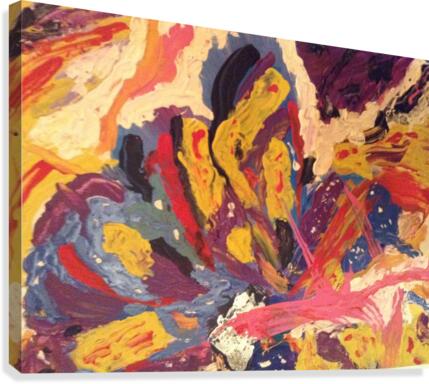 Firework  night.                                       Canvas Print