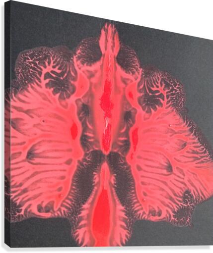                                         The moth Canvas Print