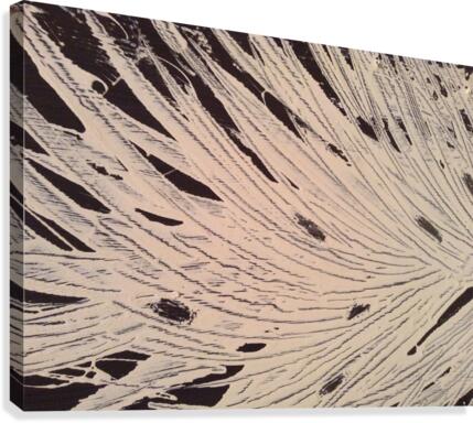 Frosted leaves.                                       Canvas Print