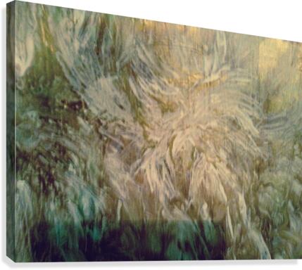       The ozone layer.                                Canvas Print