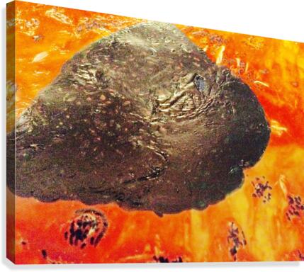 Asteroid  king           Canvas Print